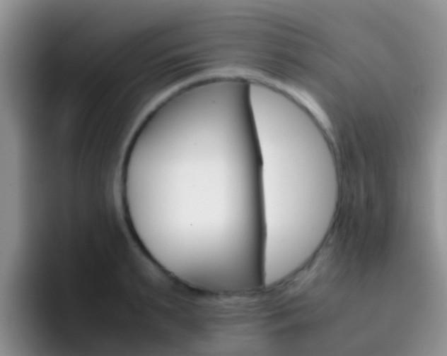 X0000092290895200709140938