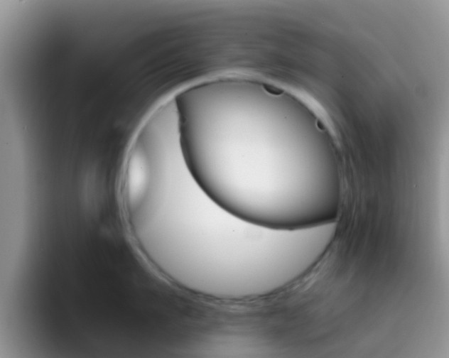 X0000092290911200709140938