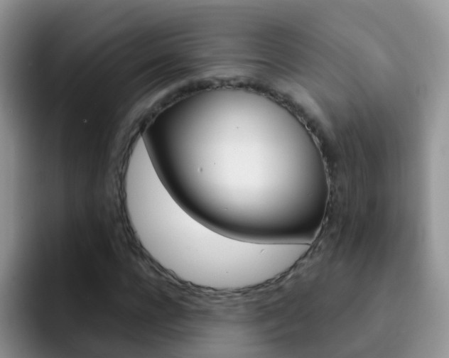 X0000092290920200709140938