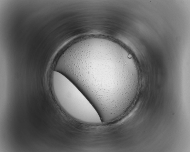 X0000092290925200709140938