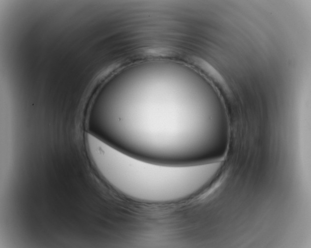 X0000092290930200709140938