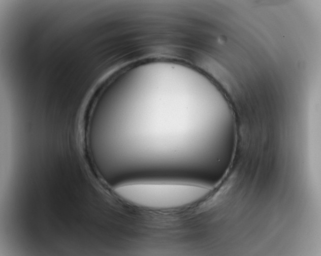 X0000092290931200709140938