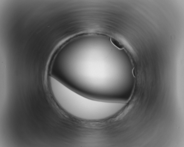 X0000092290932200709140938