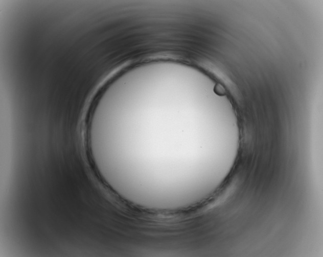 X0000092290933200709140938