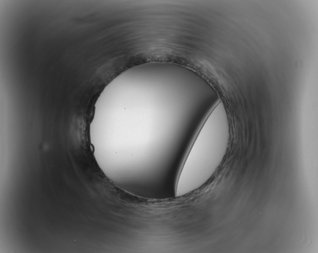 X0000092290964200709140938