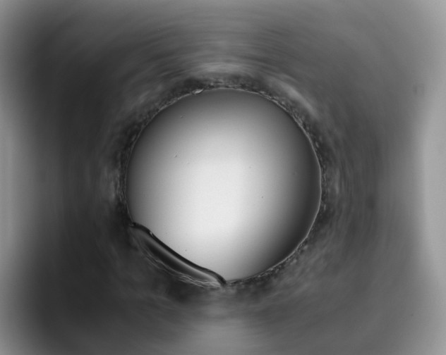 X0000092290965200709140938
