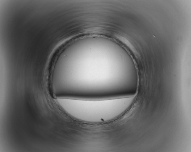 X0000092290971200709140938