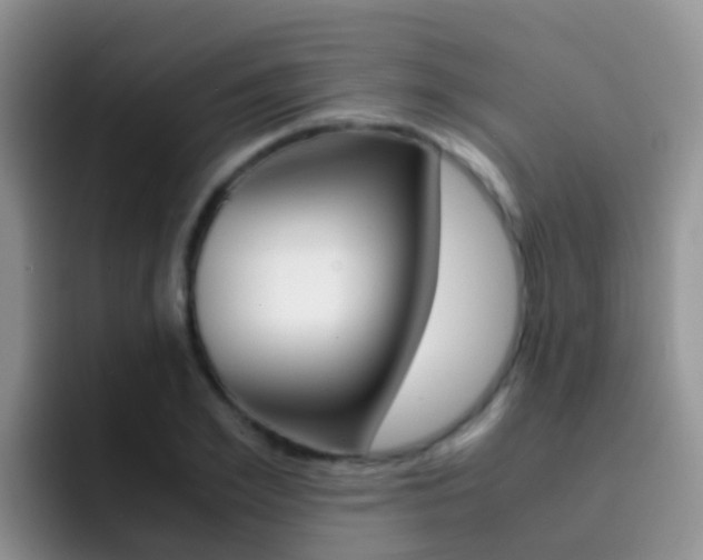 X0000092290981200709140937
