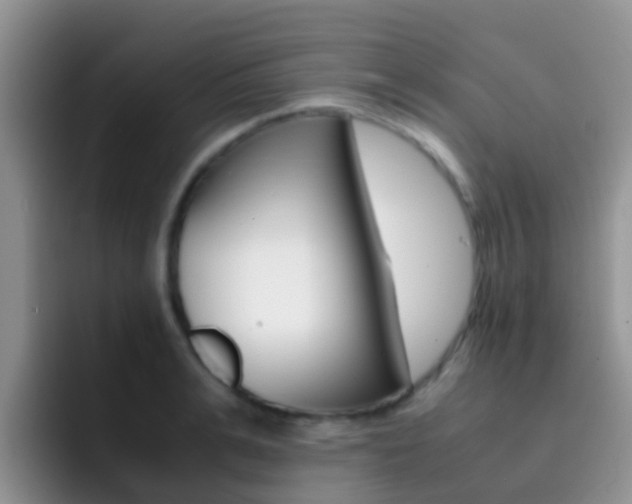X0000092290991200709140937