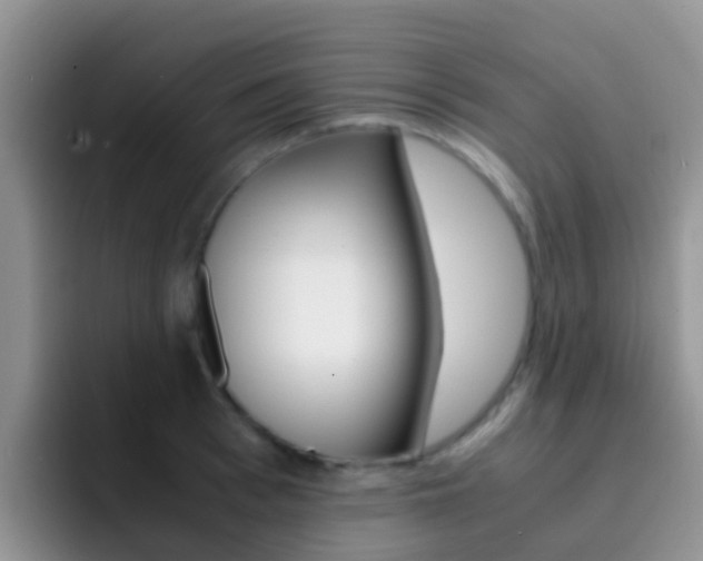 X0000092290993200709140937