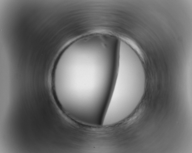 X0000092290999200709140937