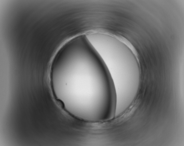 X0000092291005200709140937