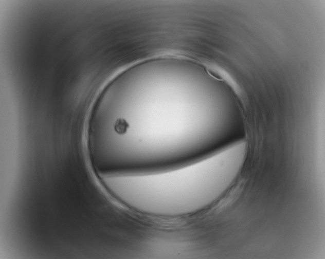 X0000092291007200709140937