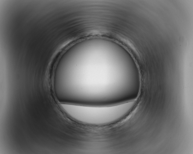 X0000092291018200709140937