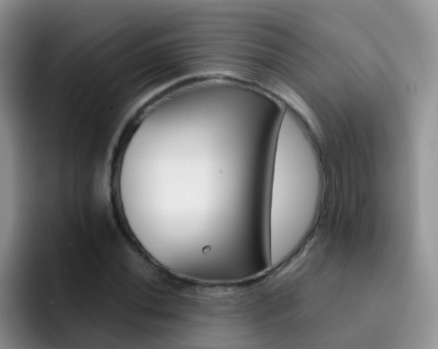X0000092291020200709140937