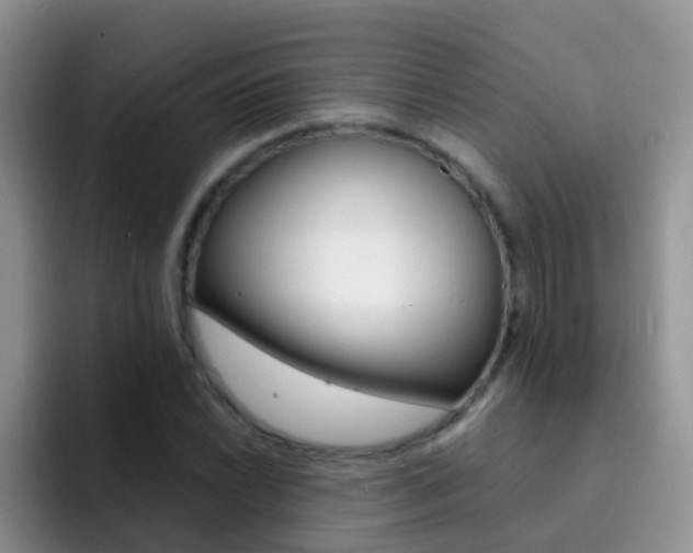 X0000092291022200709140937