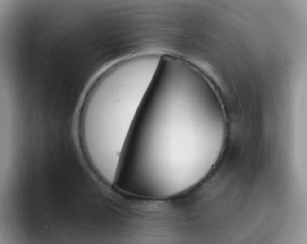 X0000092291024200709140937