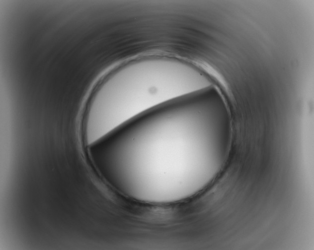 X0000092291029200709140937