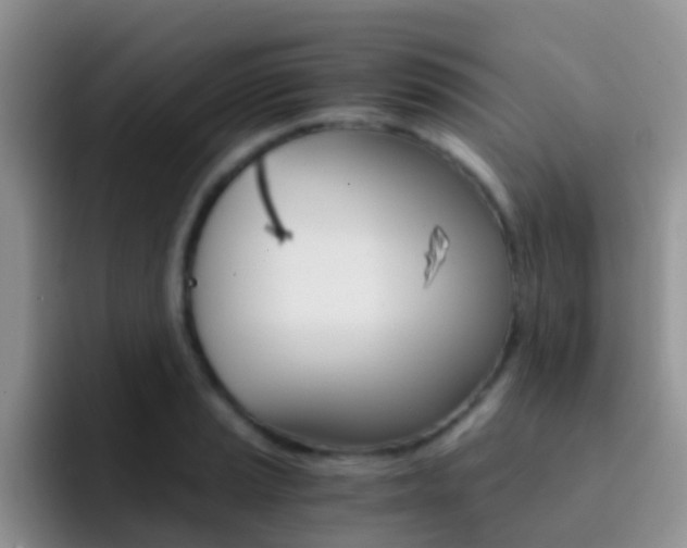 X0000092291037200709140937