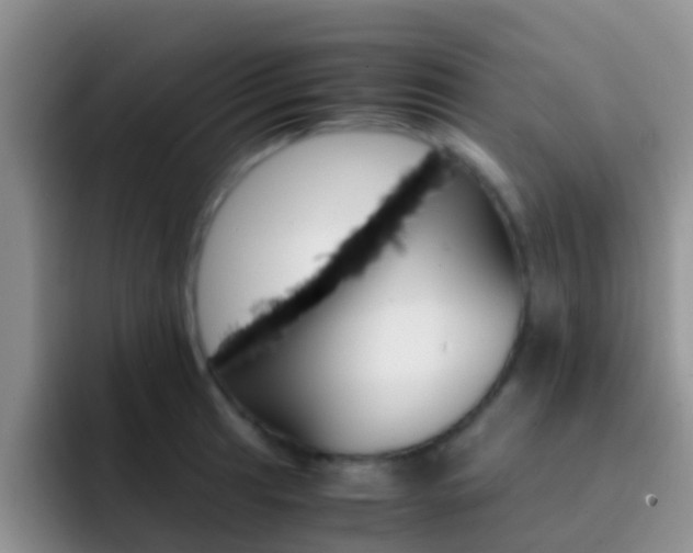 X0000092291041200709140937