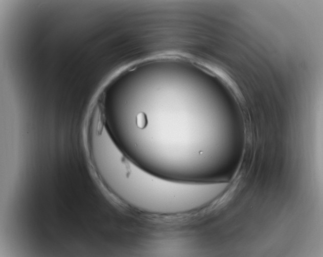 X0000092291054200709140937