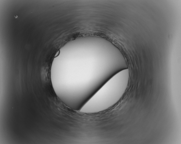 X0000092291059200709140937
