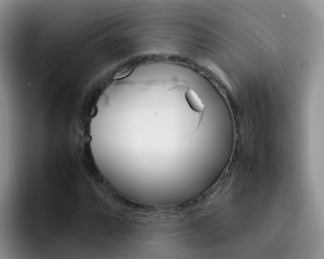X0000092291064200709140936