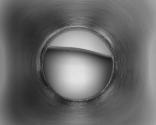 X0000092291069200709140936