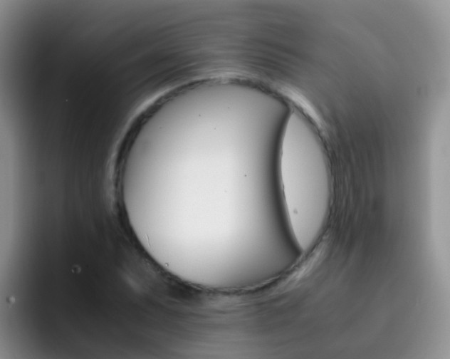 X0000092291071200709140936