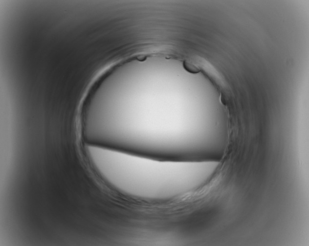 X0000092291079200709140936