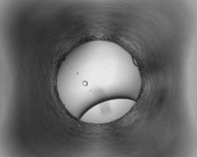X0000092291105200709140935