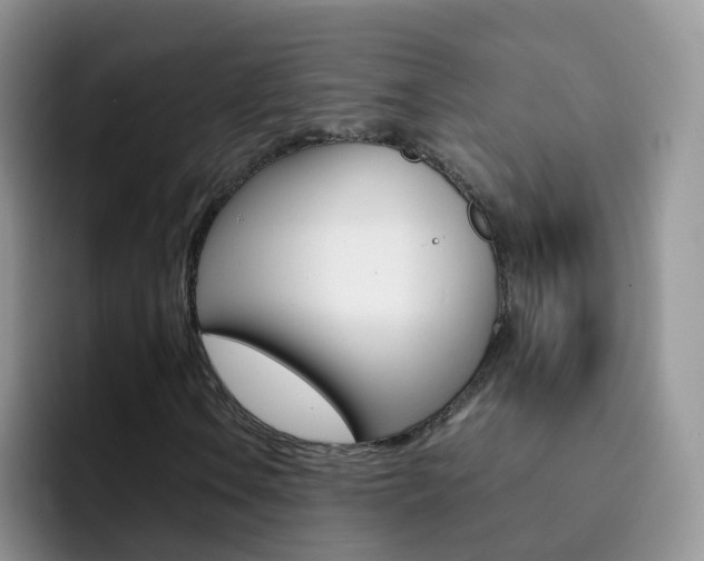 X0000092291106200709140935