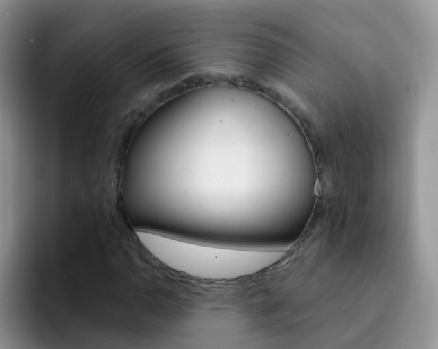 X0000092291110200709140936