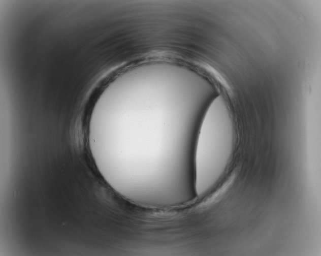 X0000092291117200709140936