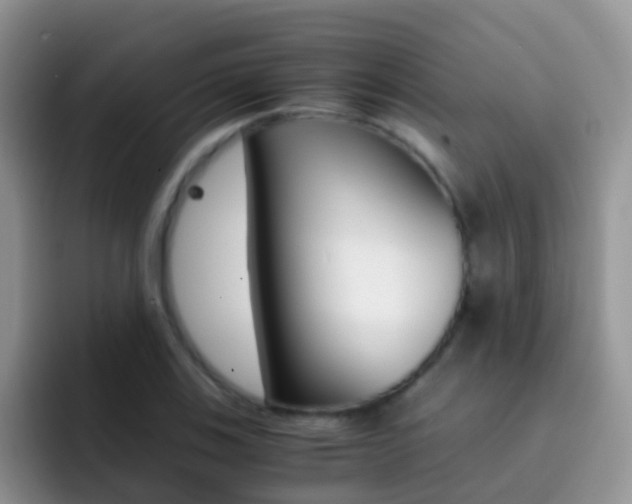 X0000092291123200709140936
