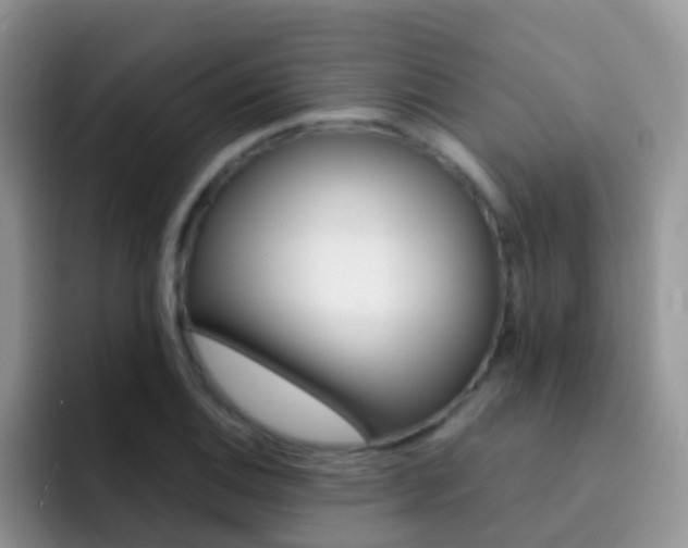 X0000092291124200709140936