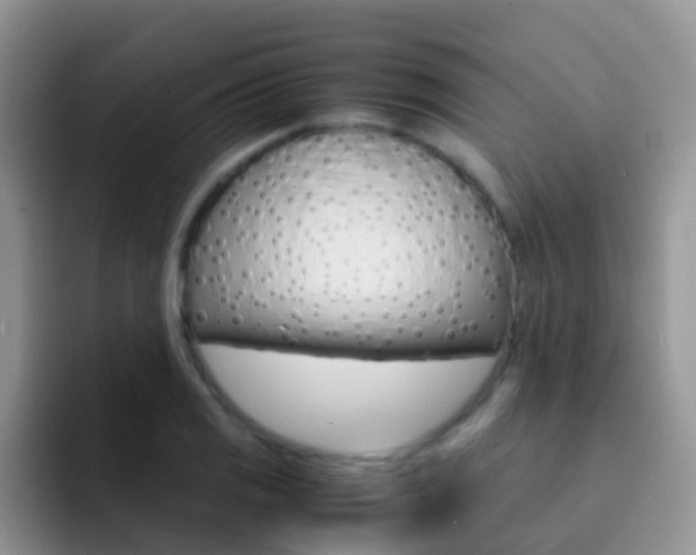 X0000092291125200709140936