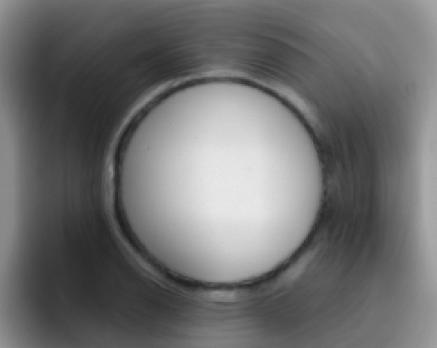 X0000092291126200709140936