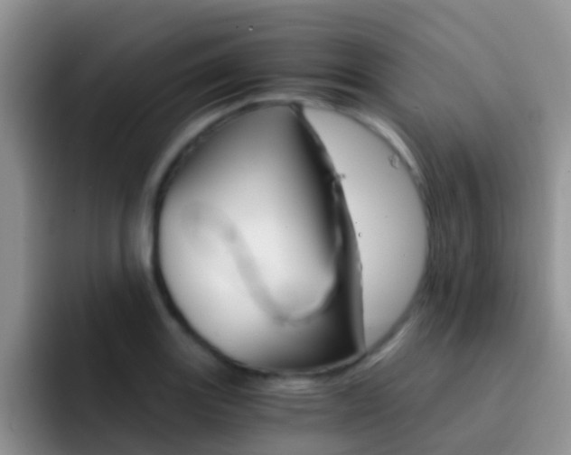 X0000092291131200709140936