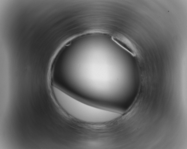 X0000092291140200709140936