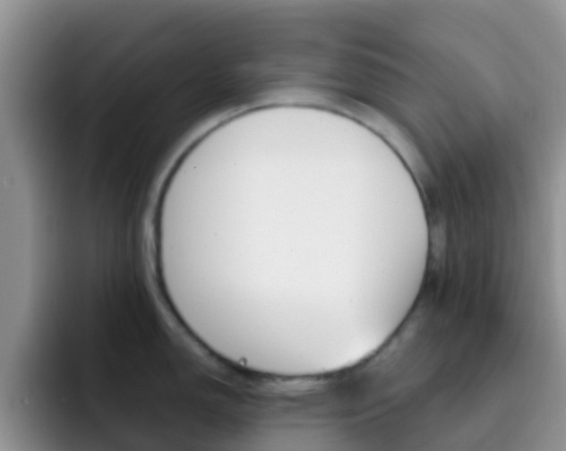 X0000092291150200709140936