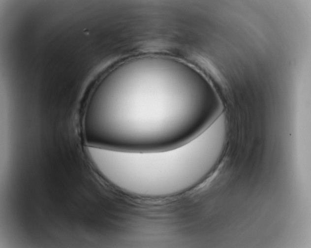 X0000092291164200709140935