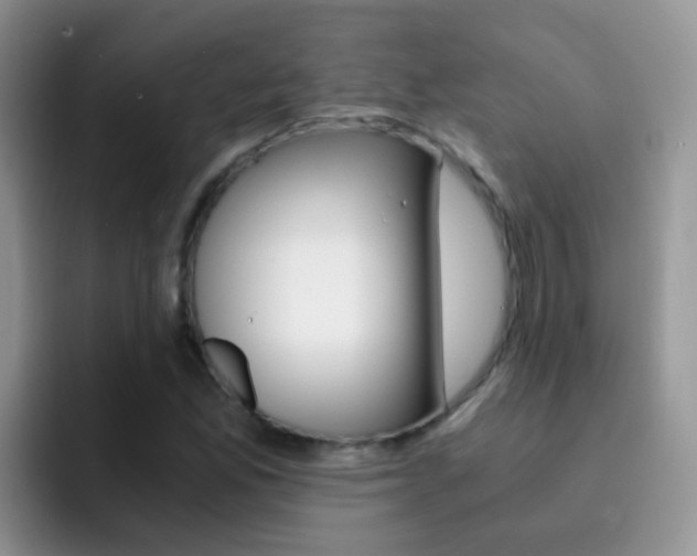 X0000092291165200709140935