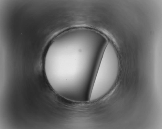 X0000092291167200709140935