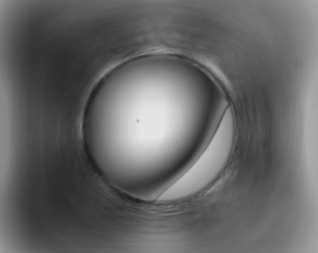 X0000092291173200709140935