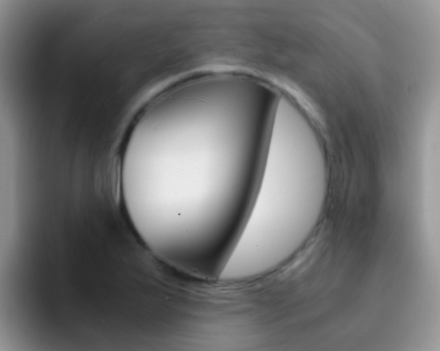 X0000092291175200709140935