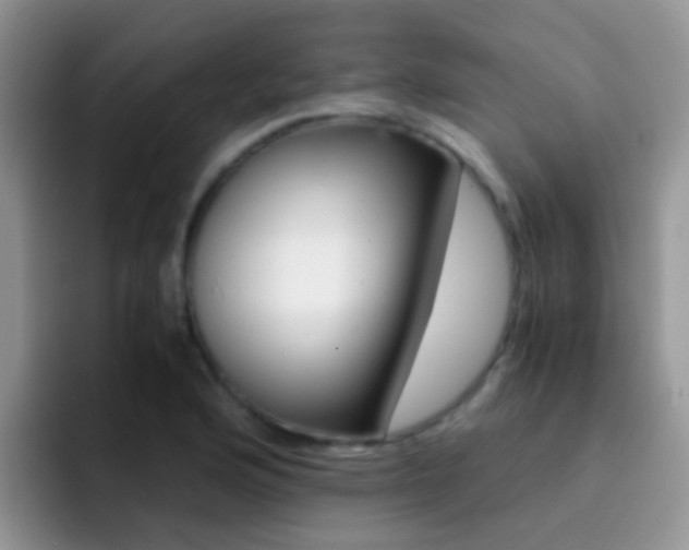 X0000092291176200709140935