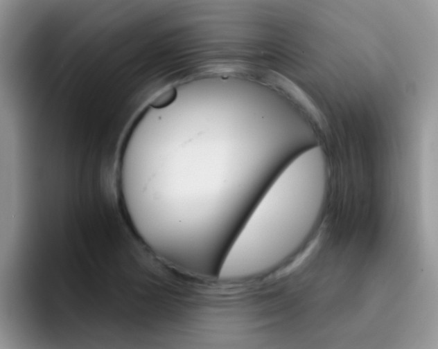 X0000092291178200709140935