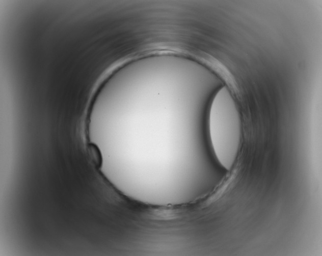 X0000092291182200709140935
