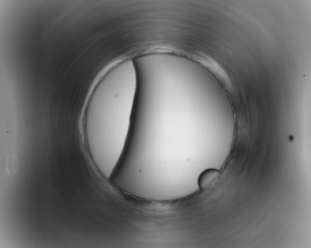 X0000092291190200709140935